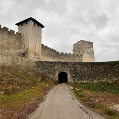 23-12-20 11-02-11 8237